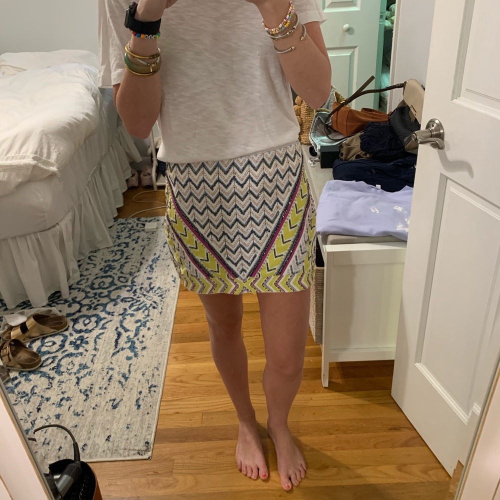 Zara sequin skirt